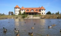 View on the guesthouse from the lake